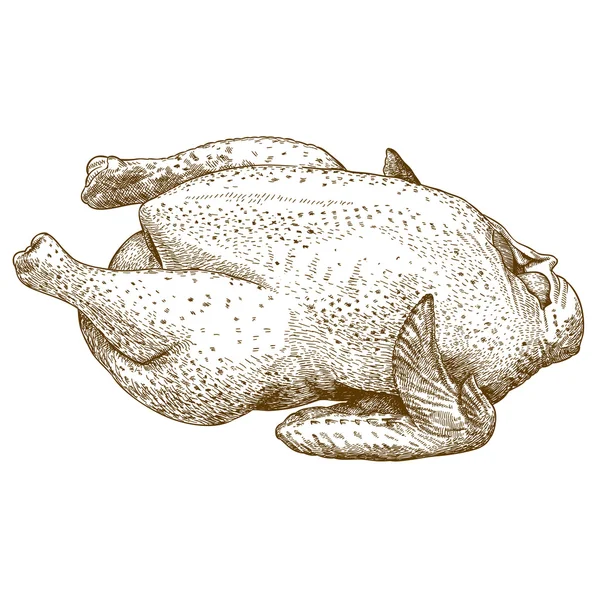 Engraving illustration of raw chicken — Stock Vector