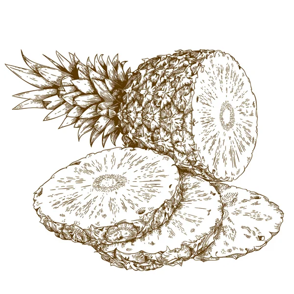 Gravura ilustração de abacaxi e fatias — Vetor de Stock