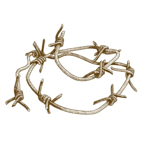 Гравірувальна ілюстрація колючого дроту — стоковий вектор