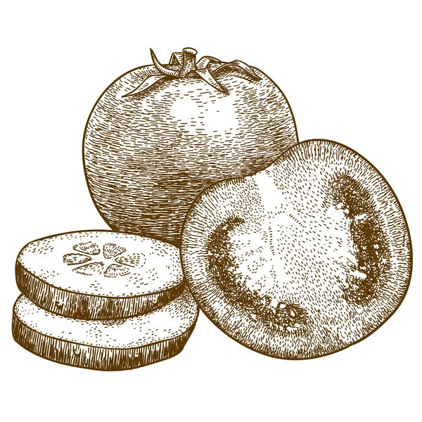 Gravur Illustration von Tomaten- und Gurkenscheiben — Stockvektor