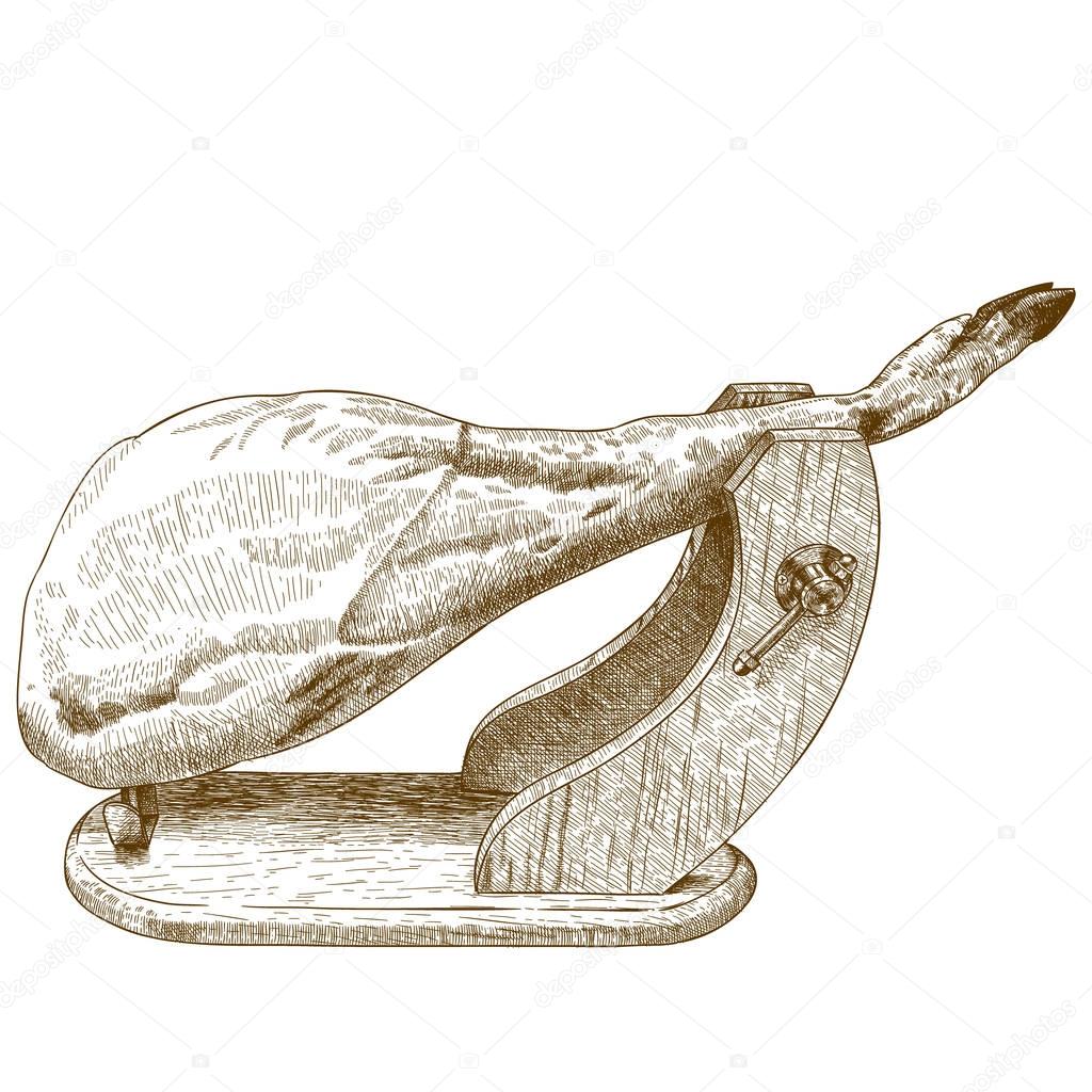 engraving illustration of jamon