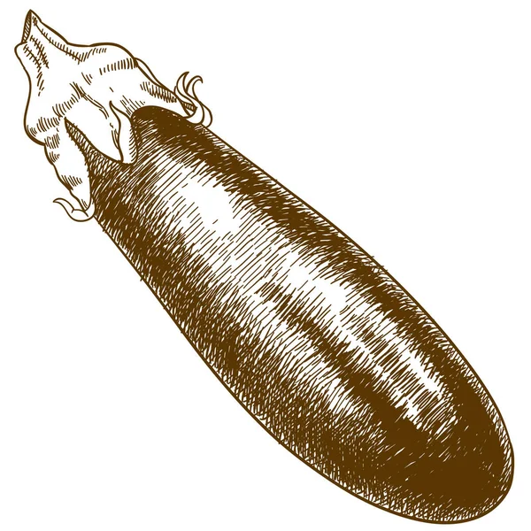 Gravyr illustration av aubergine — Stock vektor