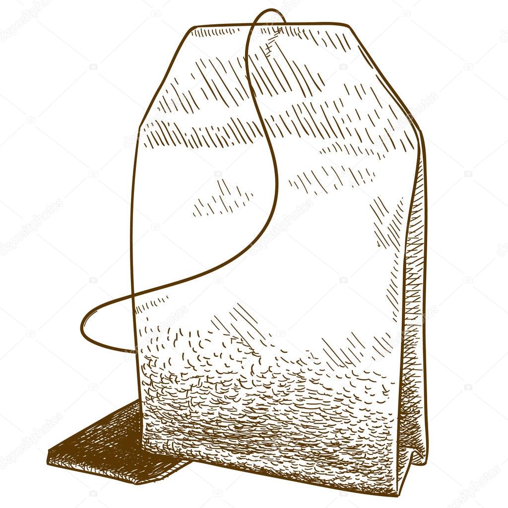 engraving illustration of tea bag