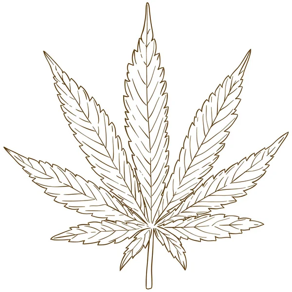 Esrar yaprak resmi çizim oyma