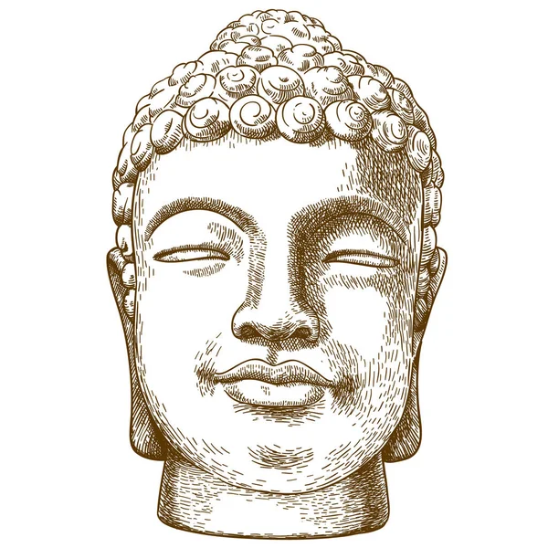tekening boeddha hoofd stockvectors, rechtenvrije tekening boeddha