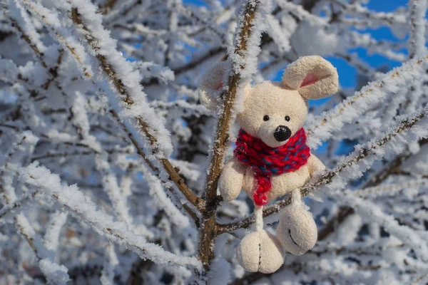 Christmas toy mouse, a symbol of the Chinese New Year. In a red knitted scarf sits on snowy branches. The concept of winter, warmth and comfort.