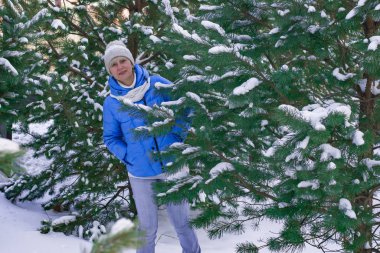 Kış havası. Mavi ceketli ve beyaz atkılı bir kadın kameraya bakıyor. Yürüyüş Aralık Ocak ayıdır. Kar ağacı çam dalları Park yürüyüşü. Metin pankartı için boşluk.