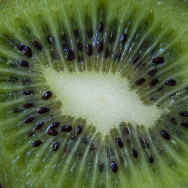 Juicy Sliced Green Kiwi Closeup — Stock Photo, Image