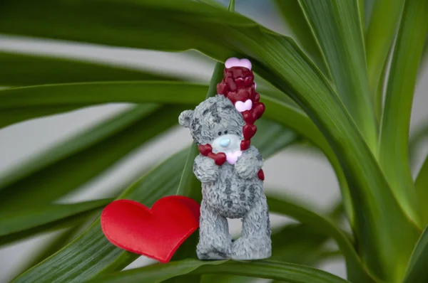 Saint Valentin Ours Avec Des Cœurs Dans Les Branches Vertes — Photo