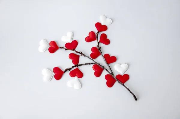 Galho Com Corações Vermelhos Dia Dos Namorados — Fotografia de Stock