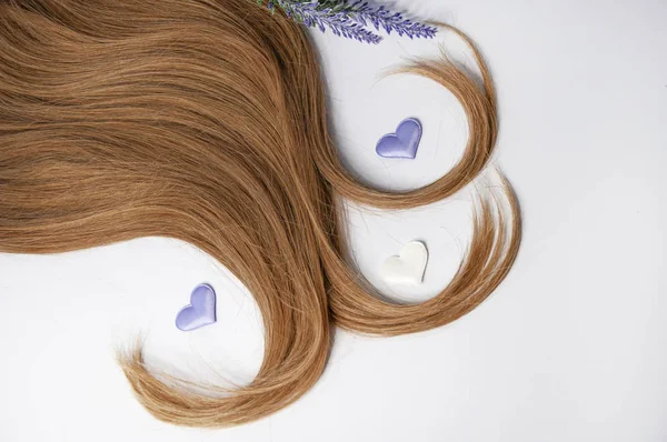 Cabelo longo bonito e um ramo de lavanda em um backgroun branco — Fotografia de Stock