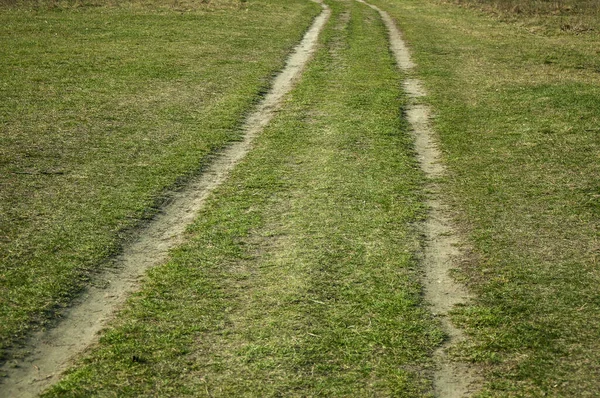 Road in the grass and wheel track. The spring landscape and traces from the passage of transport on the surfac