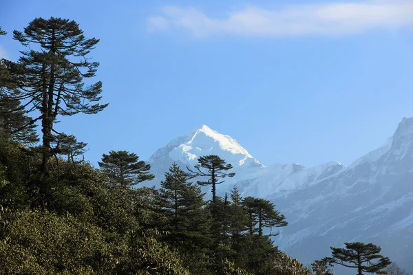 Bella Vista Sulle Montagne Primo Piano Sono Alberi Verdi Sullo — Foto Stock