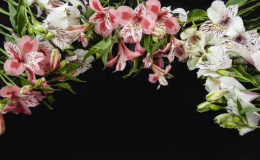 Kopya alanı olan siyah bir arkaplanda Alstroemeria çiçekleri