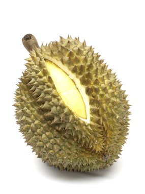 Beyaz arkaplanda durain izole