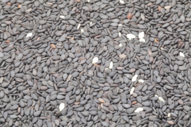 Siyah susam yakın çekim