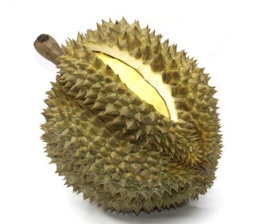 Beyaz arkaplanda durain izole