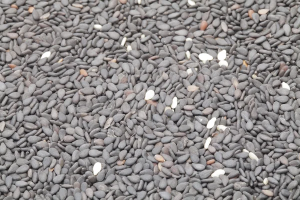 Siyah susam yakın çekim