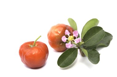 Beyaz arka plan üzerinde izole Acerola meyve