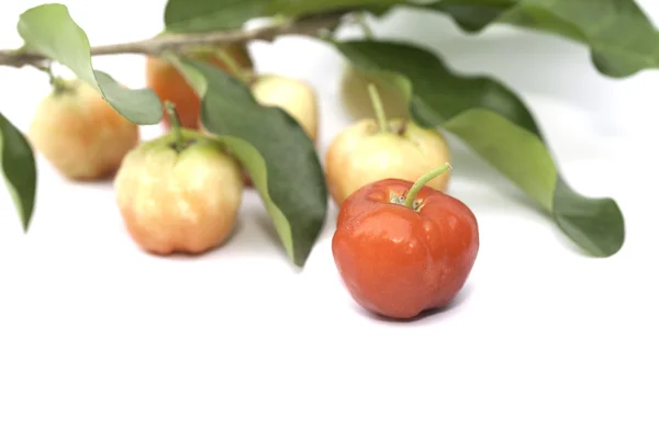 Owoce aceroli na białym tle na białym tle — Zdjęcie stockowe