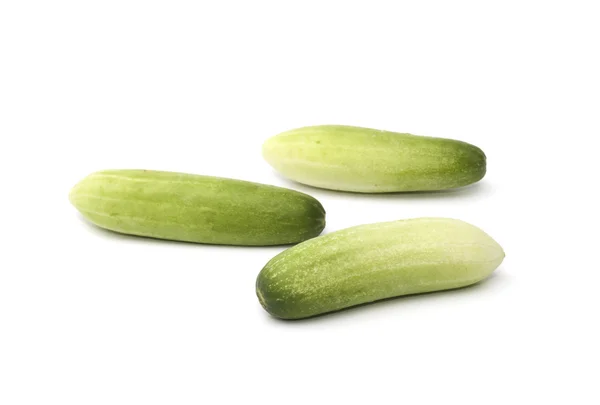 Fresh cucumber isolated on the white background — Stock Photo, Image