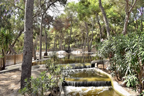 Park Reina Sofia Dunes Plaży Guardamar Del Segura Alicante Hiszpanii — Zdjęcie stockowe