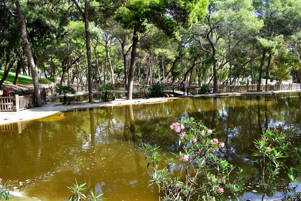 Lago Parque Reina Sofia Dunas Guardamar Del Segura Praia Alicante — Fotografia de Stock