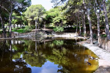 Guardamar del Segura sahilindeki Reina Sofia Dunes parkında, Alicante. İspanya. Avrupa.