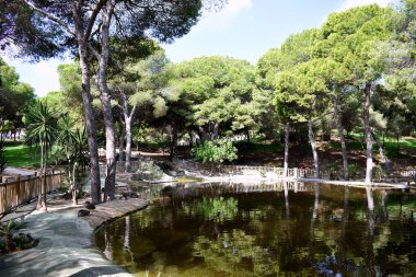 Guardamar del Segura sahilindeki Reina Sofia Dunes parkında, Alicante. İspanya. Avrupa.