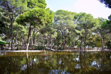 Guardamar del Segura sahilindeki Reina Sofia Dunes parkında, Alicante. İspanya. Avrupa.