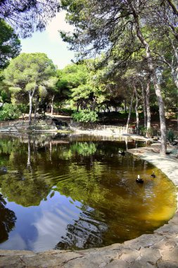 Guardamar del Segura sahilindeki Reina Sofia Dunes parkında, Alicante. İspanya. Avrupa.