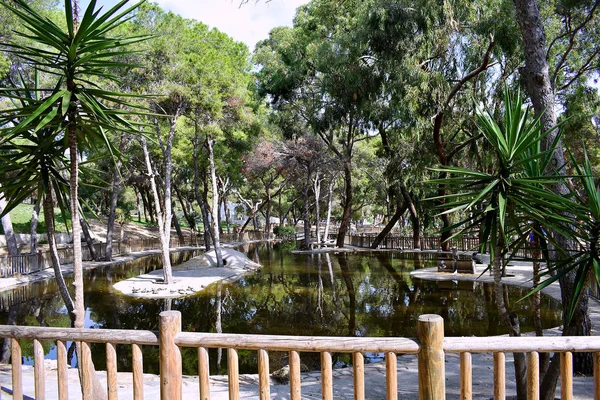 레이나 소피아 공원에 호숫가에 과르다 마르델 스페인 — 스톡 사진