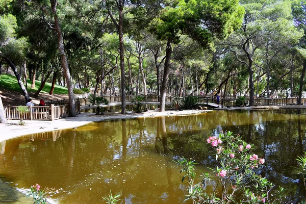 See Dünen Park Reina Sofia Strand Guardidamar Del Segura Alicante — Stockfoto