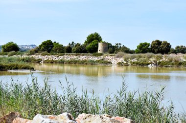 Guardamar del Segura, Alicante 'deki Segura Nehri' nde yel değirmeni. İspanya. Avrupa. 