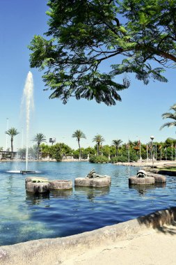 Torrevieja 'daki Uluslar Parkı Bahçesi. Alicante, Costa Blanca 'da. İspanya Avrupa. 25 Eylül 2019