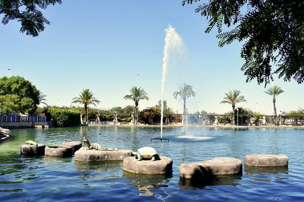 Torrevieja 'daki Uluslar Parkı Bahçesi. Alicante, Costa Blanca 'da. İspanya Avrupa. 25 Eylül 2019