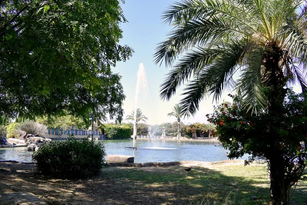 Garten Der Nationen Park Torrevieja Alicante Der Costa Blanca Spanien — Stockfoto