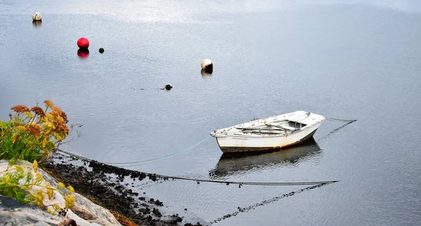 Bateaux Pêche Viveiro Lugo Galice Espagne Europe Septembre 2019 — Photo