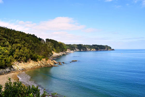 Sacido Sahilindeki Ağaçlar Viveiro Lugo Galiçya Spanya Avrupa Ekim 2019 — Stok fotoğraf