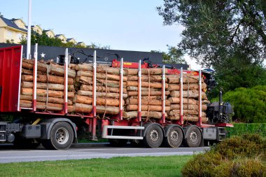 Kamyon, Viveiro, Lugo, Galiçya 'daki Chavin okaliptüs olarak da bilinen Souto da Retorta' da kesilmiş okaliptüs kütükleriyle dolu. İspanya. Avrupa. 6 Ekim 2019