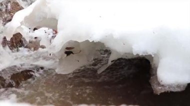 Karlar erir ve ormanda büyük nehirler akar.