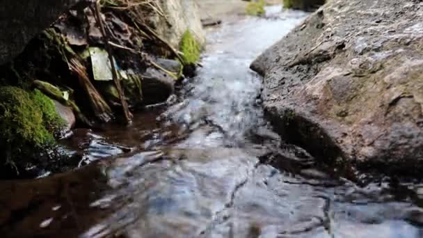 Corriente Bebida Cristalina — Vídeo de stock