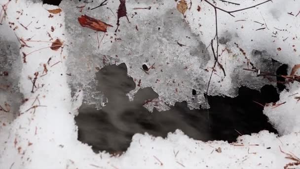 Neige Fond Grands Ruisseaux Coulent Dans Forêt — Video