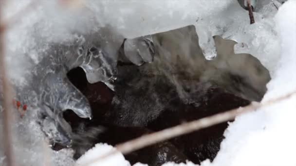 Neige Fond Grands Ruisseaux Coulent Dans Forêt — Video