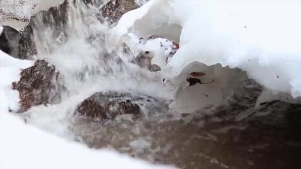 Neige Fond Grands Ruisseaux Coulent Dans Forêt — Video