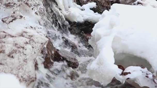 Neige Fond Grands Ruisseaux Coulent Dans Forêt — Video