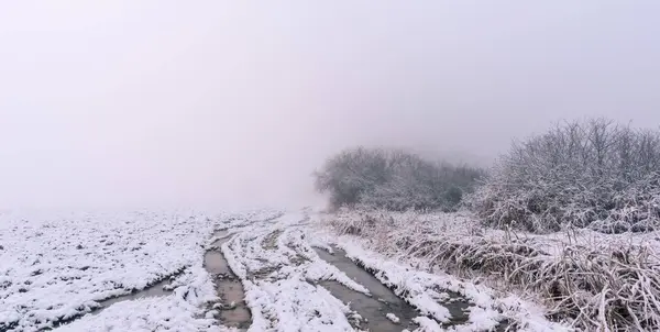 在雾下雪的早晨非常车辙的路径 — 图库照片