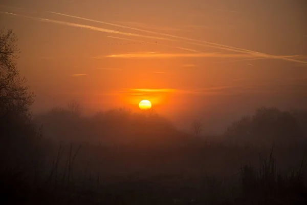 Východ slunce s pěkné oranžové slunce nad bažin — Stock fotografie