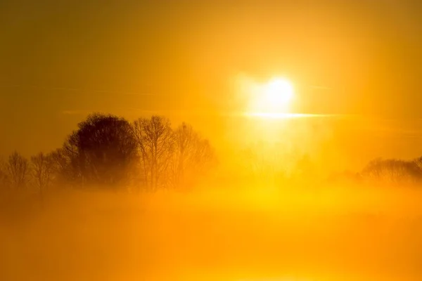 Dream landscape of misty morning_ — 图库照片