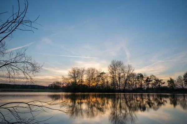 Landscape with several trees on side of pond — Stock Photo, Image